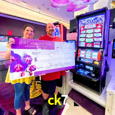 Apostas esportivas da ck7 com odds competitivas